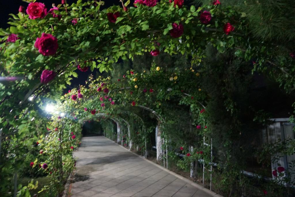 River Side Hotel Mingachevir Ngoại thất bức ảnh