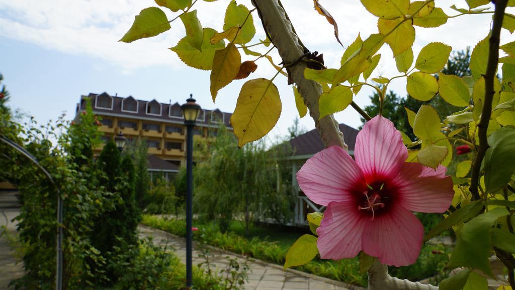 River Side Hotel Mingachevir Ngoại thất bức ảnh